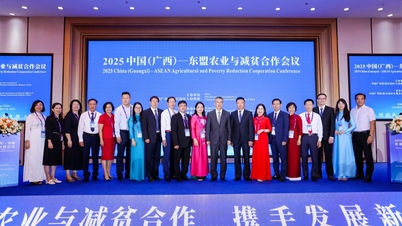 Lang Son eyaleti heyeti, Çin'in Guangxi eyaletine bağlı Nanning kentinde düzenlenen ASEAN-Çin Tarım İşbirliği ve Yoksulluğun Azaltılması Konferansı'na katıldı.