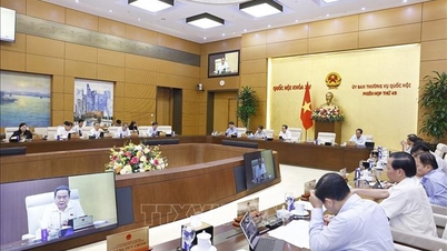 សម័យប្រជុំលើកទី៤៩ នៃគណៈកម្មាធិការអចិន្ត្រៃយ៍រដ្ឋសភា៖ ពិនិត្យរបាយការណ៍ស្តីពីការត្រួតពិនិត្យ និងការសាកសួរតាមប្រធានបទ