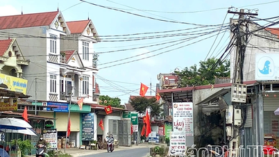 Hải Lựu tập trung phát triển tiểu thủ công nghiệp và thương mại - dịch vụ