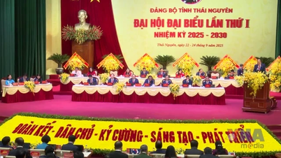 មហាសន្និបាតលើកទី១ គណៈកម្មាធិការបក្សខេត្ត Thai Nguyen