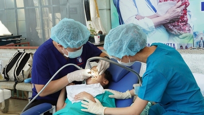 Plan for arranging universities, hospitals, state-owned enterprises
