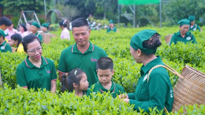 Koperasi pertanian menggalakkan penambahbaikan dalam proses pengeluaran, usaha untuk meningkatkan tahap produk pertanian Vietnam.