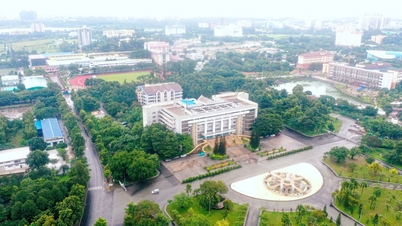 การควบรวมมหาวิทยาลัย: ไม่มีโรงเรียนขนาดเล็กที่แตกแยกอีกต่อไป