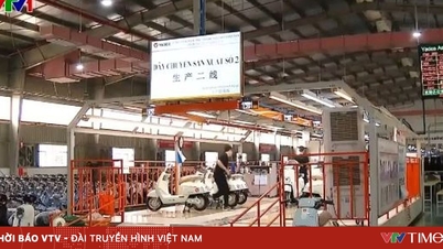 베트남은 중국으로부터 많은 고품질 투자 프로젝트를 유치하고 있습니다.