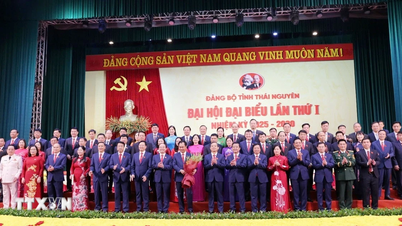 ថៃ ង្វៀន អះអាង​ពី​តួនាទី​របស់​ខ្លួន​ជា​ចំណុច​កណ្តាល​នៃ​តំបន់​កណ្តាល​ដីគោក និង​តំបន់​ភ្នំ​ខាងជើង។