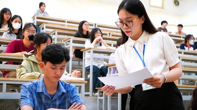 By 2025, there will be 50 pedagogical majors achieving a benchmark score of 28 or higher.
