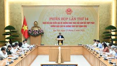 [រូបថត] នាយករដ្ឋមន្ត្រី Pham Minh Chinh ធ្វើជាប្រធានកិច្ចប្រជុំលើកទី 14 នៃគណៈកម្មាធិការដឹកនាំ IUU