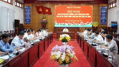 Tay Ninh crée un fonds pour des terres propres, attire les investissements et favorise le développement socio-économique