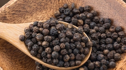 Pepper price today September 23, 2025: Expected to increase to escape the 150,000 VND/kg mark