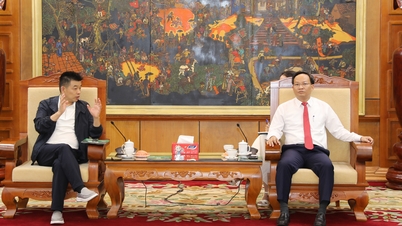 អនុប្រធានគណៈកម្មាធិការប្រជាជនខេត្ត លោក Pham Van Thinh បានទទួលជួប និងធ្វើការជាមួយថ្នាក់ដឹកនាំក្រុមហ៊ុនអគ្គិសនី Shemar Power។