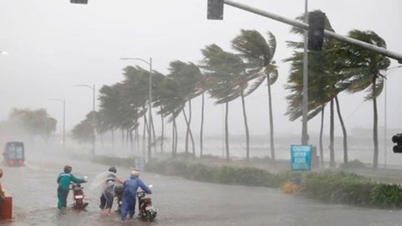 الطقس اليوم (23 سبتمبر): هبات إعصار راجاسا القوية تتجاوز 17 درجة