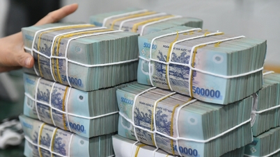 โครงการการตลาดแบบหลายระดับสร้างรายได้ค่าคอมมิชชั่น 2.6 ล้านล้านดอง โดยมีผู้สมัครใหม่กว่า 100,000 ราย