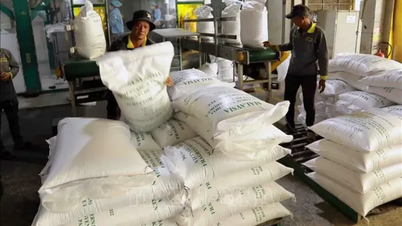 Aumentar las soluciones para promover la producción, la exportación y estabilizar el mercado del arroz.