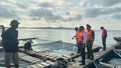 台風9号の影響により、クアンニン省の堤防や海岸堤防で土砂崩れの危険性が高まっている。