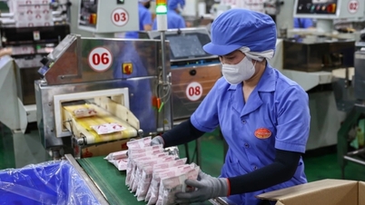 Bộ Tài chính bác đề xuất nâng giảm trừ gia cảnh ở thành phố lớn