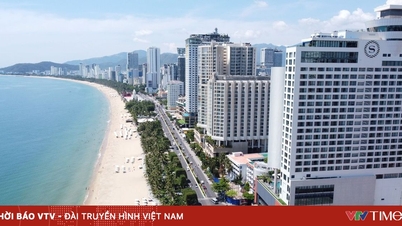 Nghị quyết 01: Du lịch - dịch vụ trở thành trụ cột kinh tế Khánh Hoà