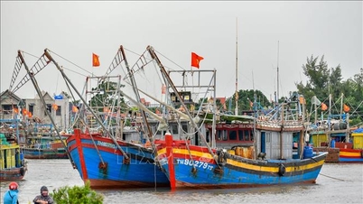 Thanh Hóa kêu gọi tàu thuyền tránh trú, ứng phó siêu bão RAGASA