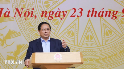 ពិនិត្យឱ្យបានច្បាស់លាស់នូវការទទួលខុសត្រូវចំពោះការរំលោភបំពានដែលនៅសេសសល់ក្នុងការកេងប្រវ័ញ្ចអាហារសមុទ្រ។