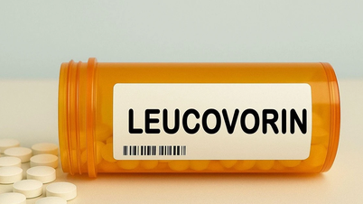 Mỹ: FDA phê duyệt thuốc leucovorin trong điều trị tự kỷ