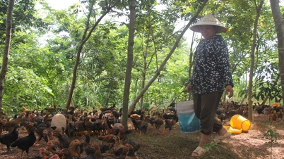 Bac Ninh fördert den Konsum landwirtschaftlicher Produkte durch Kettenverknüpfung