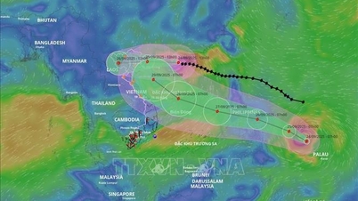 Storm No. 9 continues to weaken and approach Quang Ninh
