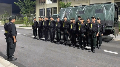 FORÇA POLICIAL MÓVEL, POLÍCIA PROVINCIAL: Mobilidade rápida, bom combate, disciplina rigorosa