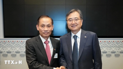 Pemangku Menteri Luar Negeri Vietnam bertemu dengan Menteri Luar Korea Selatan dan Ukraine