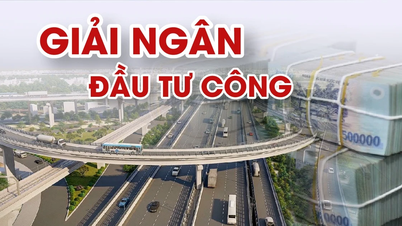 Infographic: Ì ạch giải ngân đầu tư công, có đơn vị chưa đồng nào