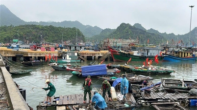 Hải Phòng cấm một số hoạt động trên khu vực cửa sông, cửa biển để phòng chống bão số 9