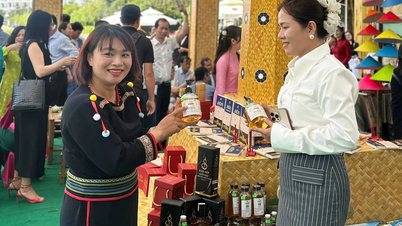 ແຄ໋ງຮ່ວາ ເຂົ້າ​ຮ່ວມ​ກອງ​ປະ​ຊຸມ​ໂຄ​ສະ​ນາ, ໂຄ​ສະ​ນາ ແລະ ຮ່ວມ​ມື​ພັດ​ທະ​ນາ​ການ​ທ່ອງ​ທ່ຽວ​ຢູ່ ຮ່າ​ໂນ້ຍ ກັບ​ບັນ​ດາ​ແຂວງ​ເຂດ​ພູດ​ອຍ​ພາກ​ກາງ