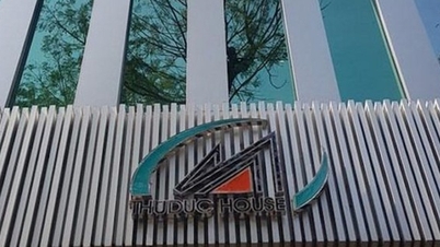 ThuDuc House thắng kiện thuế GTGT 365 tỉ, cổ phiếu tăng mạnh