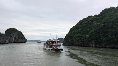Hai Phong City verbiedt schepen en boten om de zee op te gaan om storm nr. 9 te voorkomen