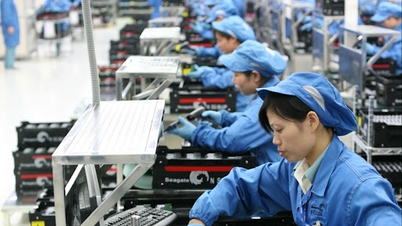 RCEP نے ویتنام - سنگاپور تجارتی پیش رفت کے لیے رفتار پیدا کی۔