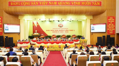 Tuyen Quang صوبائی پارٹی کمیٹی کی کانگریس ایک بڑی کامیابی تھی۔
