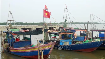 Ninh Bình cấm biển từ 12 giờ trưa nay 24-9