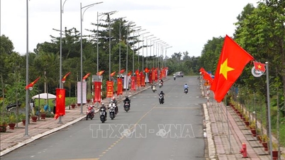 Promoting innovation, creating spillover effects for the Mekong Delta region
