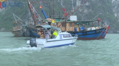 Tijdelijke opschorting van de scheepsvergunning in de wateren van Quang Ninh