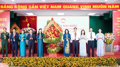 การประชุมครั้งแรกของแนวร่วมปิตุภูมิเวียดนามในเขตดงหงักประสบความสำเร็จอย่างมาก