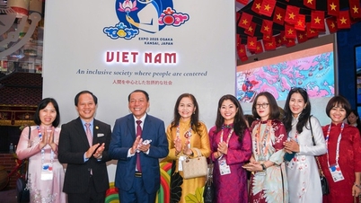 ຫວຽດ​ນາມ​ສ່ອງ​ແສງ​ຢູ່​ງານ​ວາງ​ສະ​ແດງ EXPO 2025: ໂຮງ​ງານ​ວາງ​ສະ​ແດງ​ຫວຽດ​ນາມ​ໄດ້​ຮັບ​ລາງວັນ​ທອງ​ແດງ​ດີ​ເດັ່ນ​ໃນ​ນາມ “ທີມ​ງານ​ດີ​ທີ່​ສຸດ”