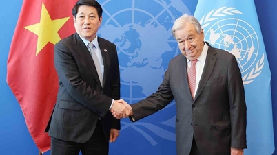 Vietnam a mai multipoláris világ egyik pillére.
