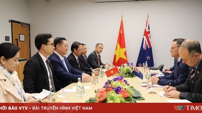 Förderung der umfassenden strategischen Partnerschaft zwischen Vietnam und Neuseeland