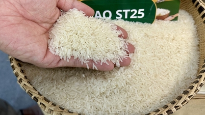 Filipina mahu melanjutkan larangan import beras