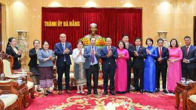 Komite Tetap Komite Partai Kota Da Nang menerima delegasi kerja dari Surat Kabar Lao Pasaxon.