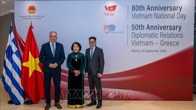 50 ans de relations entre le Vietnam et la Grèce : l'amitié traditionnelle se renforce et se développe constamment