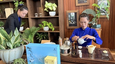 Cultura ceaiului deschide calea pentru dezvoltarea turismului de lux în orașul Ho Chi Minh și Lam Dong