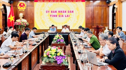 Phiên họp lần thứ 4 của Ban Chỉ đạo Chính phủ về phát triển KHCN, đổi mới sáng tạo, chuyển đổi số và Đề án 06