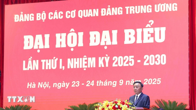 Khai mạc Đại hội đại biểu Đảng bộ các cơ quan Đảng Trung ương lần thứ nhất