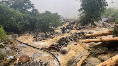 Lào Cai tập trung ứng phó với bão số 9