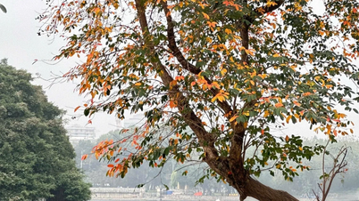 Hanoi este unul dintre cele mai frumoase locuri de admirat toamna din Asia.