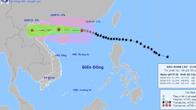 Ribut Ragasa semakin lemah, pada pagi 25 September ia akan mendarat di Quang Ninh - Hai Phong dengan angin paras 11